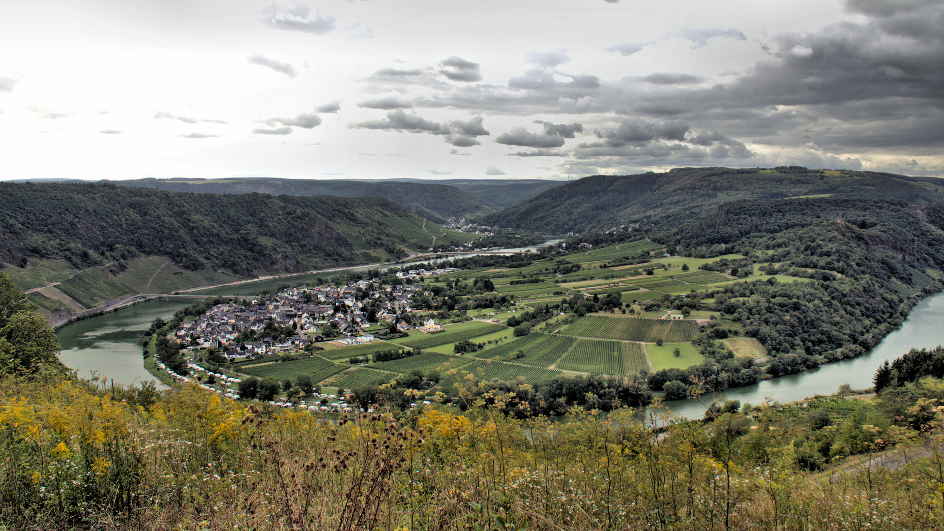 Moselblick Reil (4)