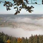 Moselbrücke Riol Nebel-1