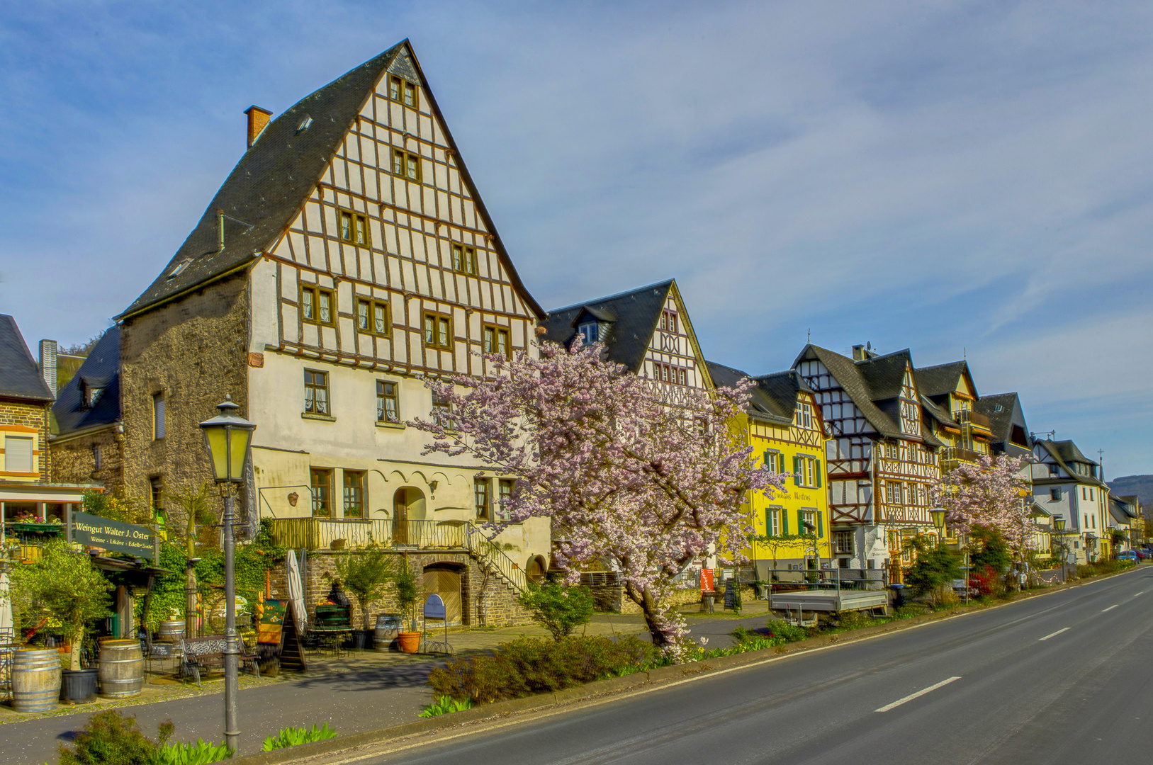 Moselfrühling in Ediger-Eller