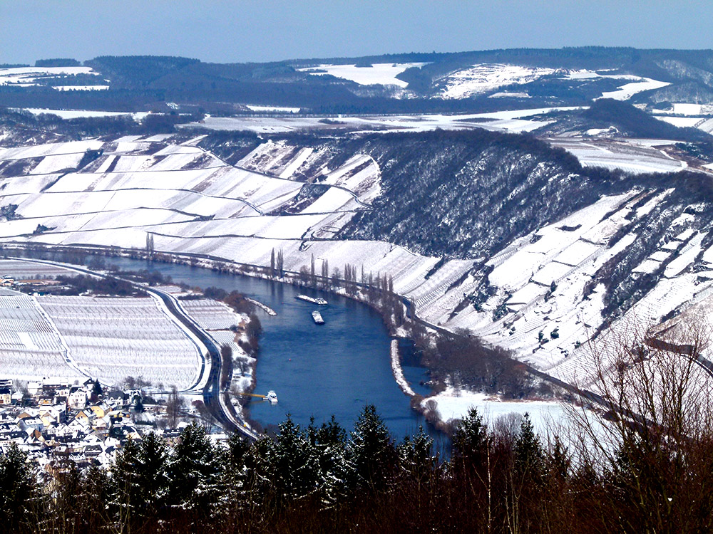 Moselhänge im März 2013