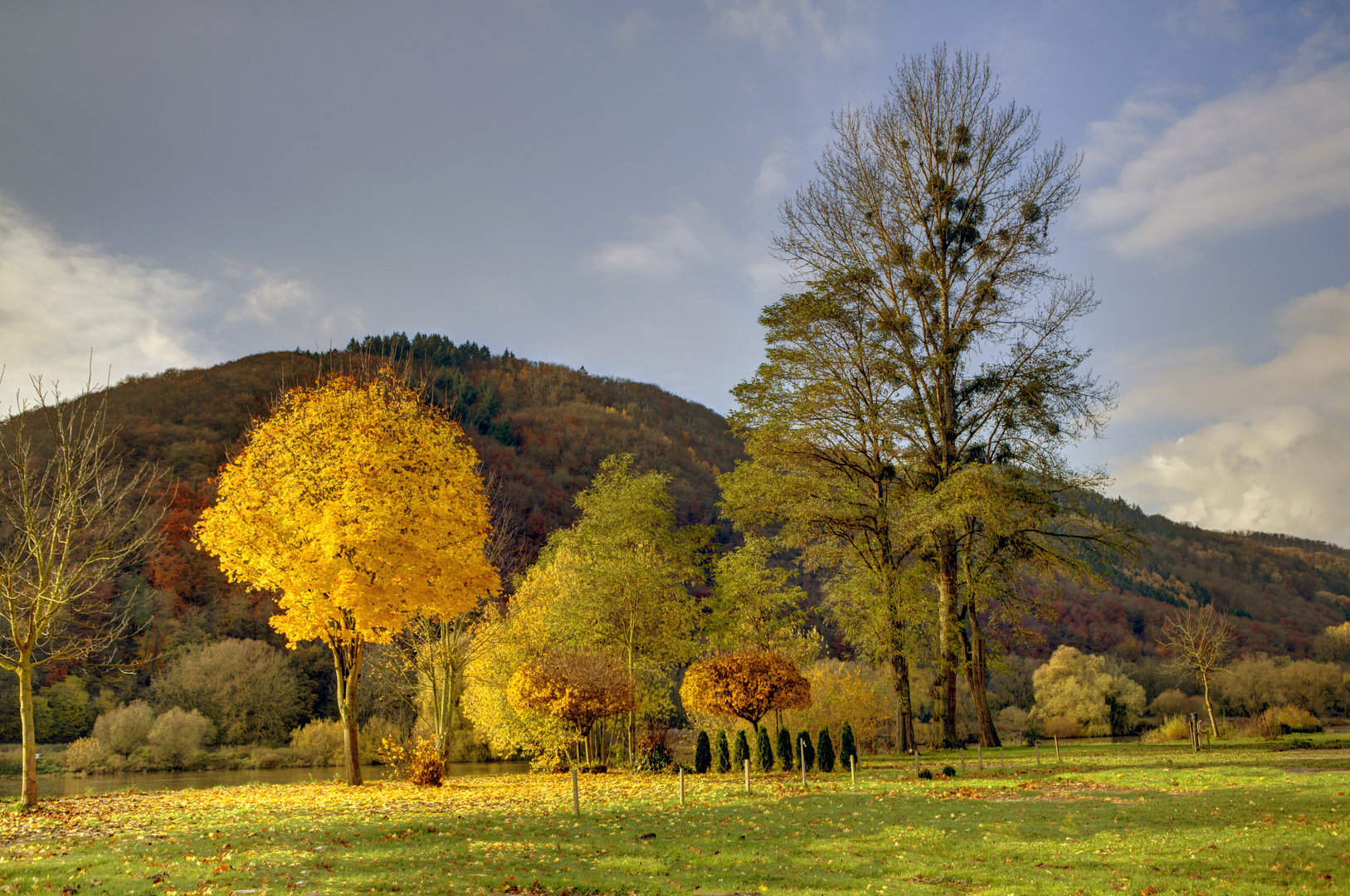 Moselherbst im Moseltal bei Nehren