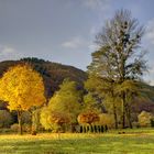 Moselherbst im Moseltal bei Nehren