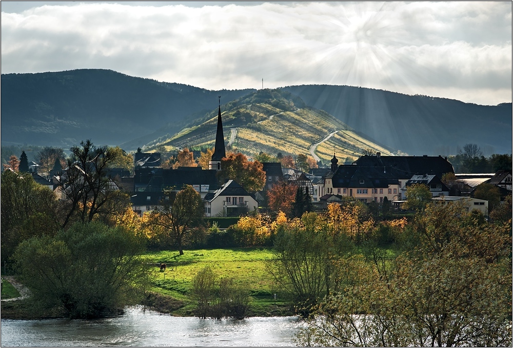 Moselherbst in Mülheim a. d. Mosel