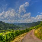 Moselhöhenweg mit Blick zum Calmont Ediger-Eller