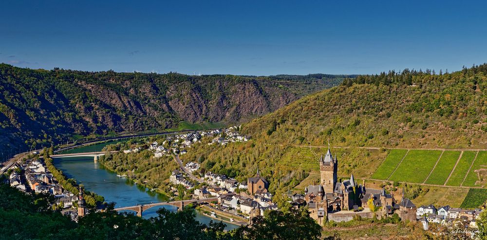 Moselimpessionen I "Aufnahme im Nachmittagslicht"