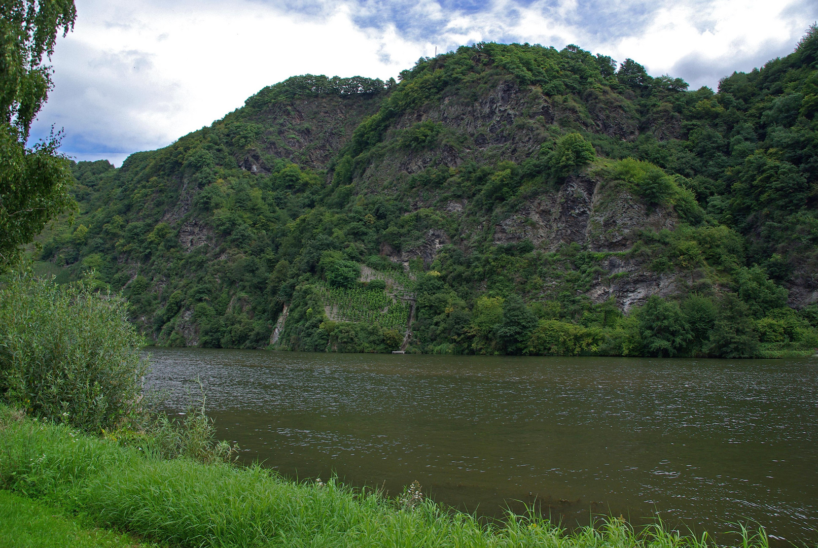 Moselloreley bei Piesport-Niederemmel