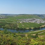 Mosellschleife-Panorama-Trittenheim