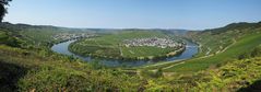 Mosellschleife-Panorama-Trittenheim