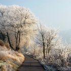 *Moselradweg im Winter*