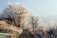 *Moselradweg im Winter*