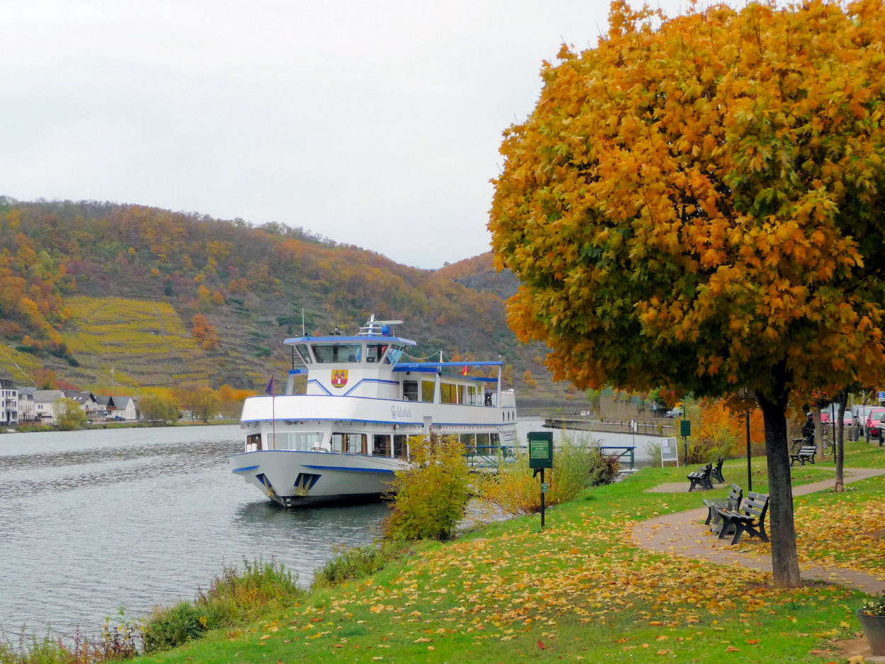 Moselschifffahrt bei Alken