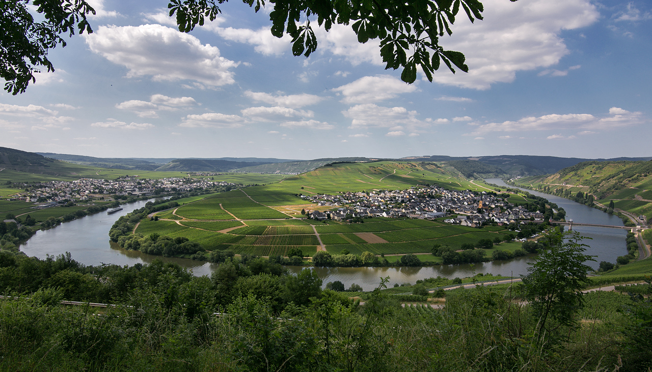 Moselschleif bei Trittenheim