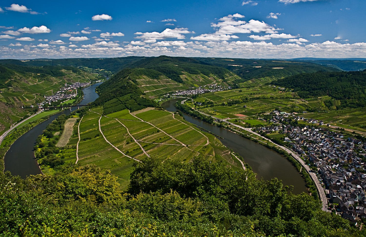 Moselschleife bei Bremm IV