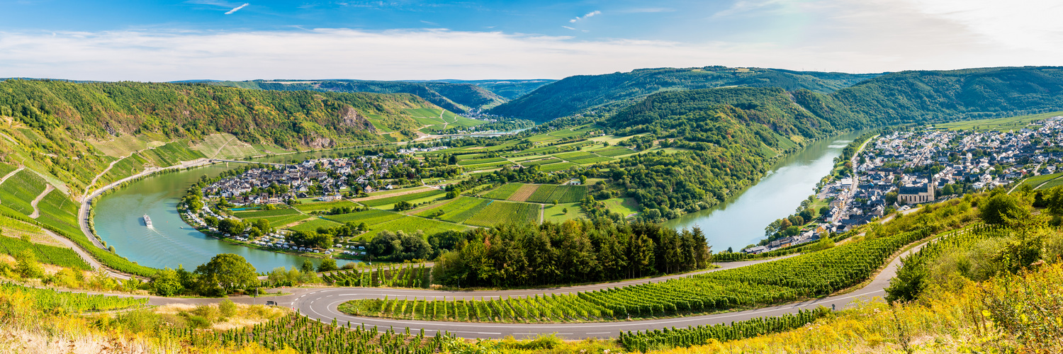 Moselschleife bei Kröv (18)