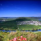 Moselschleife bei Trittenheim