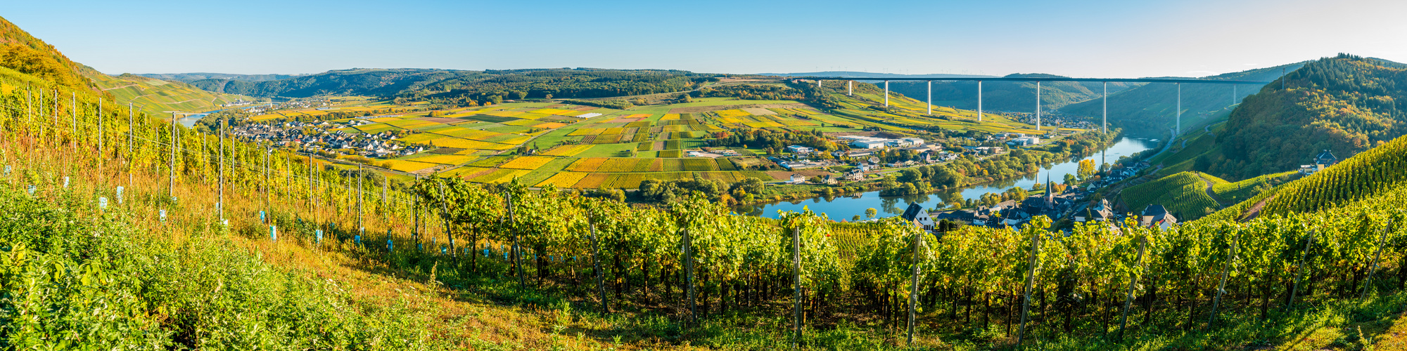 Moselschleife bei Ürzig (3)