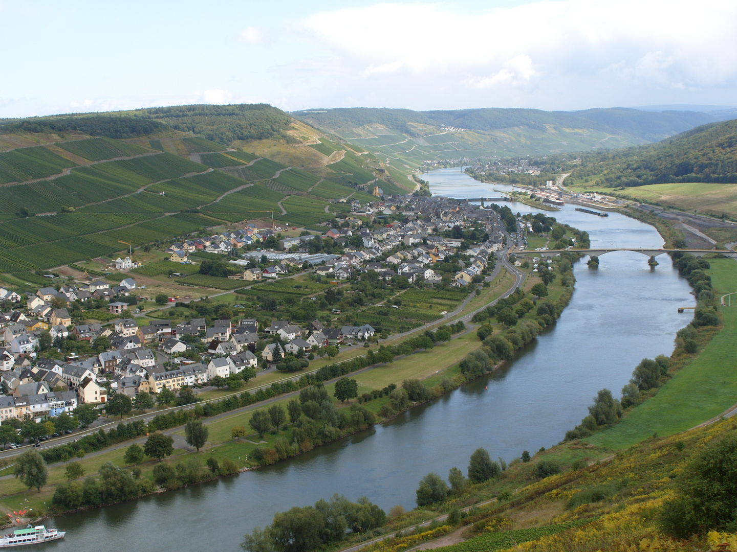 Moselschleife bei Zeltingen-Rachtig