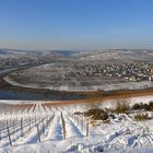 Moselschleife Panorama