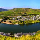 Moselschleife Zell im Herbst