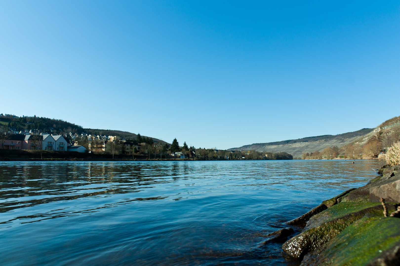 Moseltal bei Bernkastel