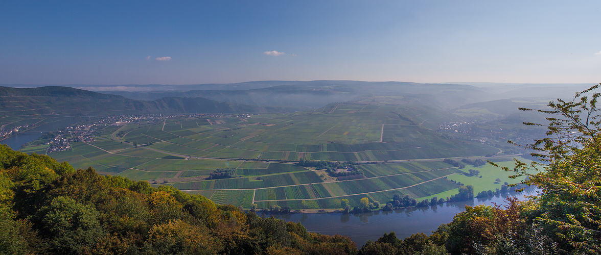 Moseltal bei Piesport