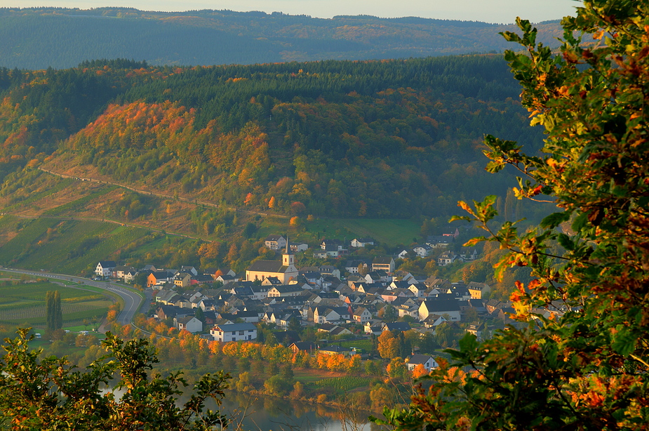 Moseltal im Herbst