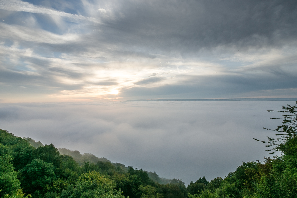 Moseltal im Morgenlicht