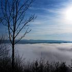 Moseltal im Nebel