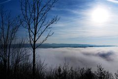 Moseltal im Nebel