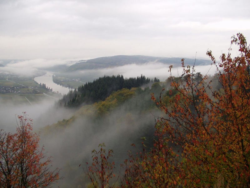 Moseltal im Nebel