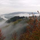 Moseltal im Nebel