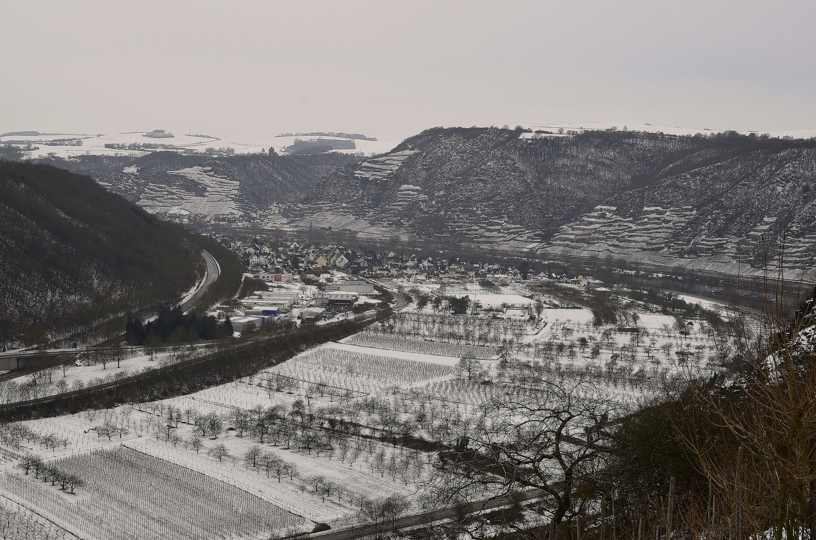 Moseltal im Winterschlaf