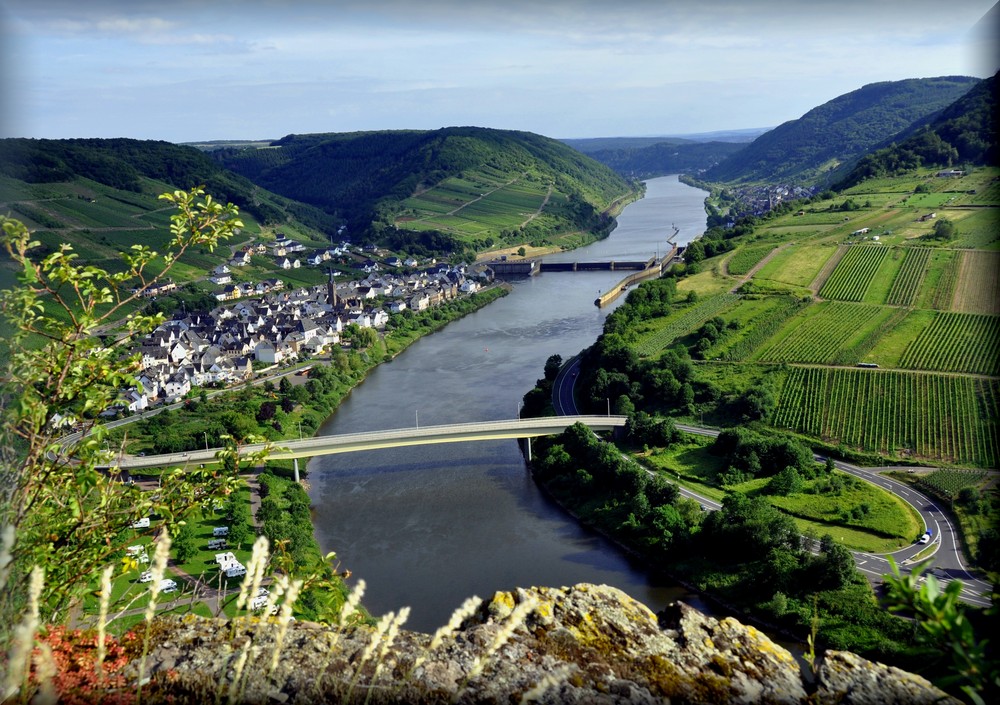 Moseltal Neef Foto & Bild deutschland, europe, rheinlandpfalz Bilder