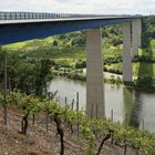 Moseltalbrücke bei Winningen (2017_05_20_EOS 6D_2649_ji)