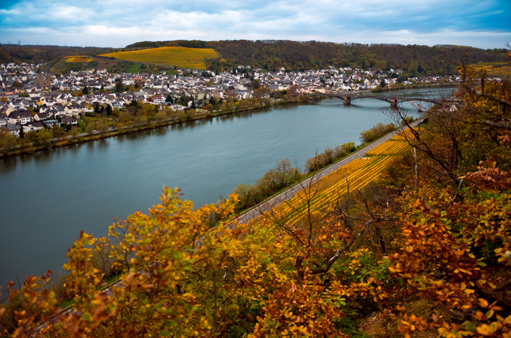 Moselweinberge, Koblenz