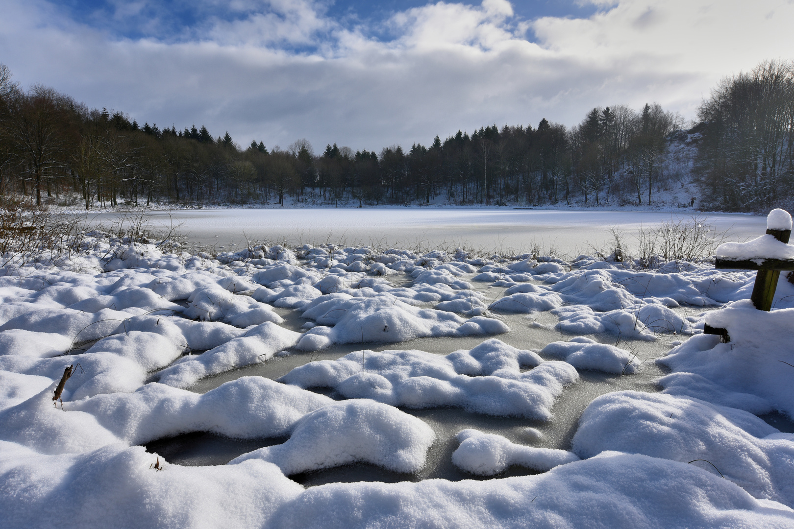 *Mosenberg - Winter I*