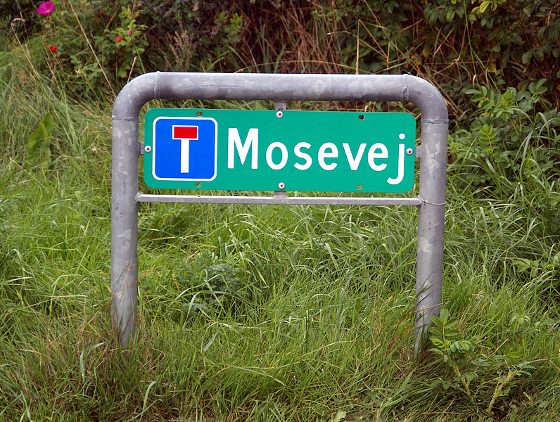 Mosevej