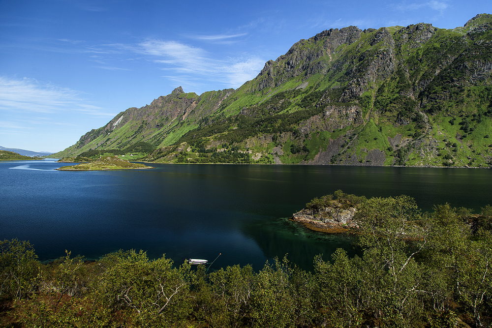 Moshaugen (Innerfjorden)