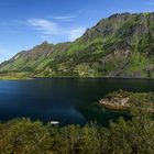 Moshaugen (Innerfjorden)