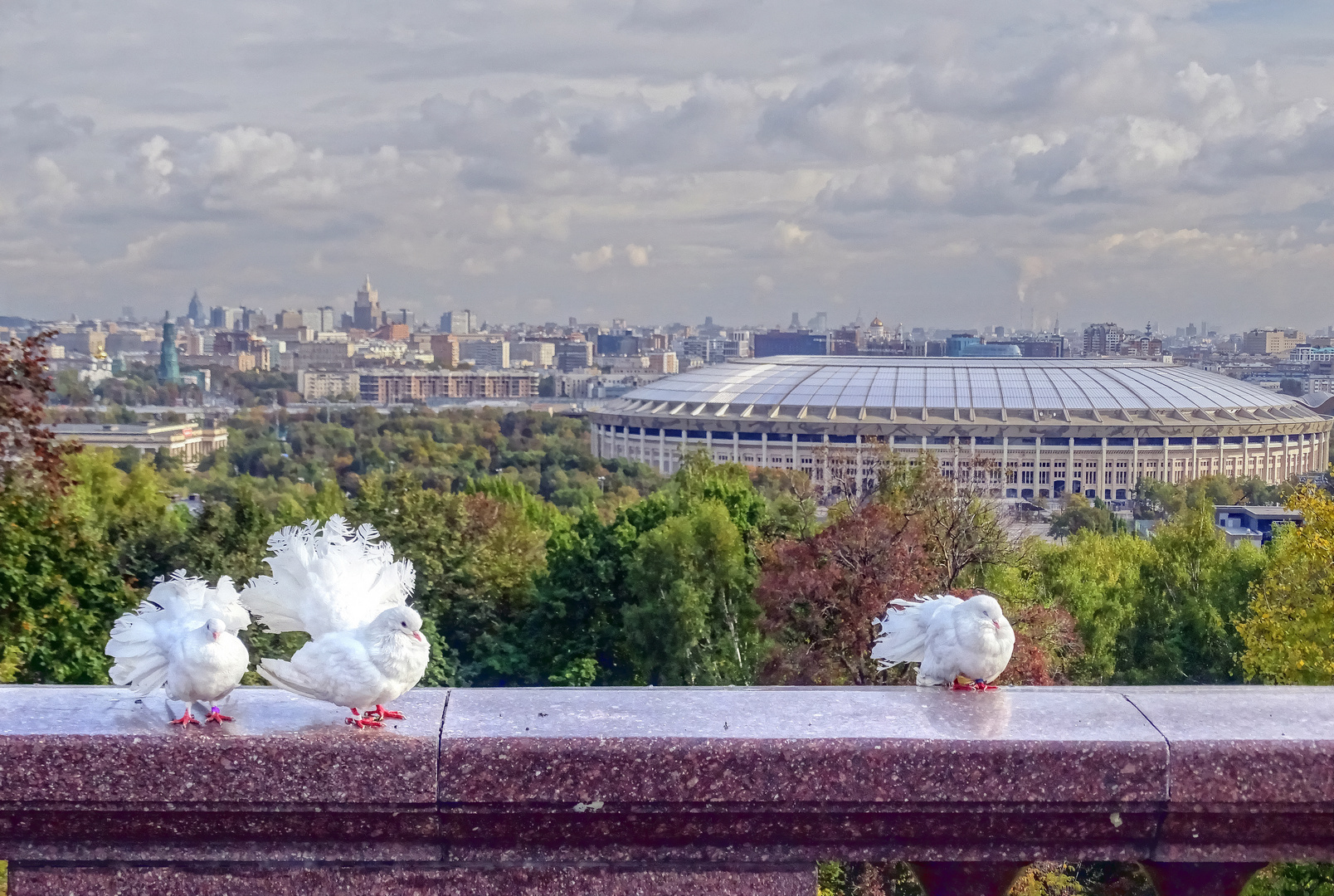 Moskau - Luzhniki Sportpark