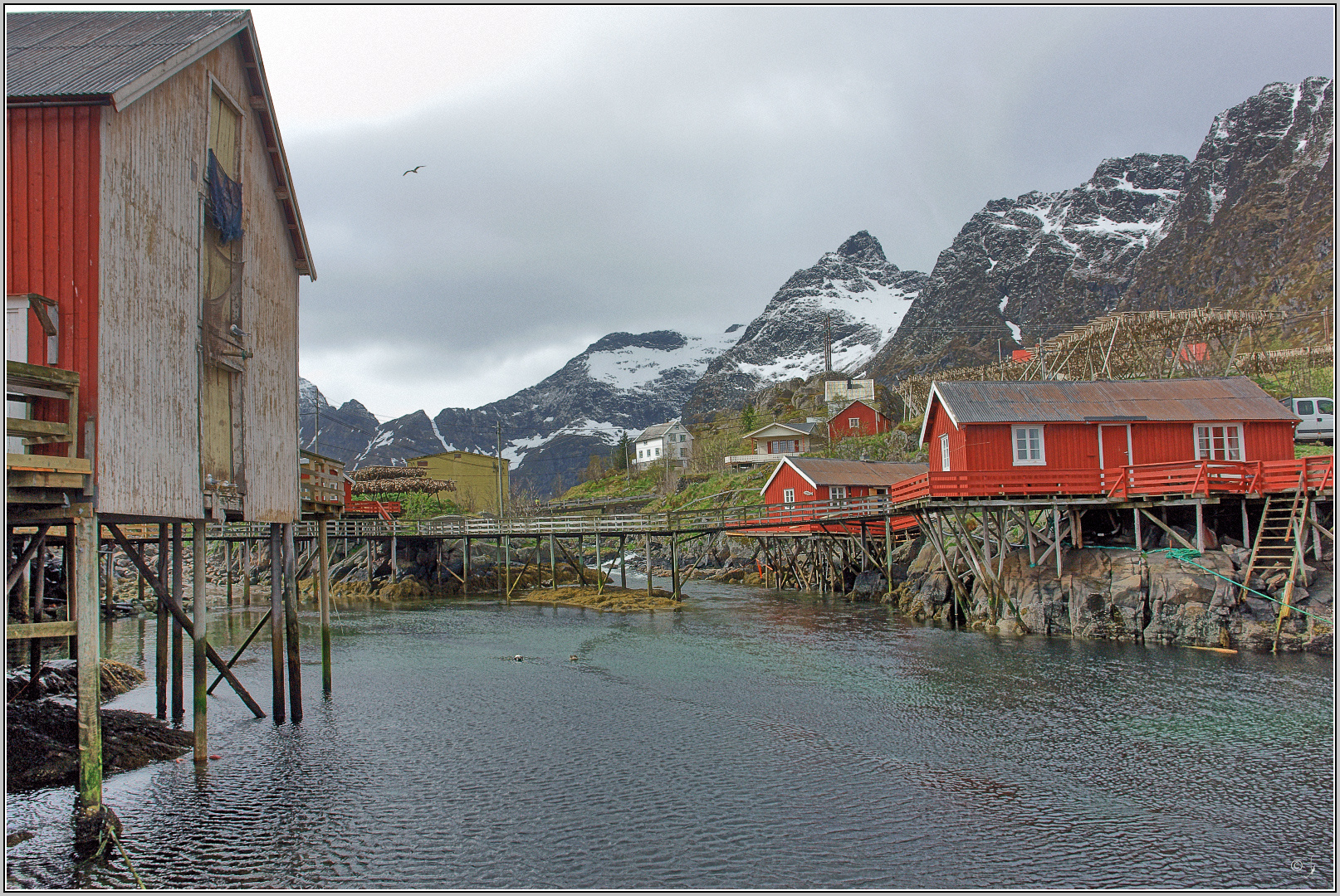 Moskenes auf den Lofoten