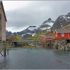 Moskenes auf den Lofoten