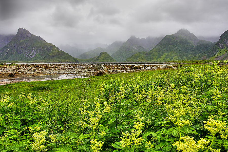 Moskenesøy