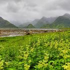 Moskenesøy