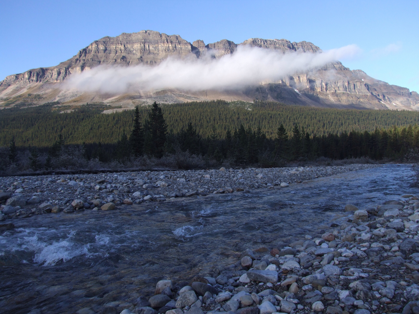 Mosqito Creek, Icefields Parkway , BC