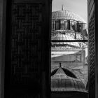 Mosque Behind the Door (Black and White)