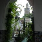 Mosquée de Paris