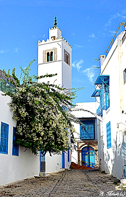 mosquée de Sidi Bou