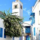 mosquée de Sidi Bou