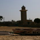 mosquée, pirogue et moutons sur la plage